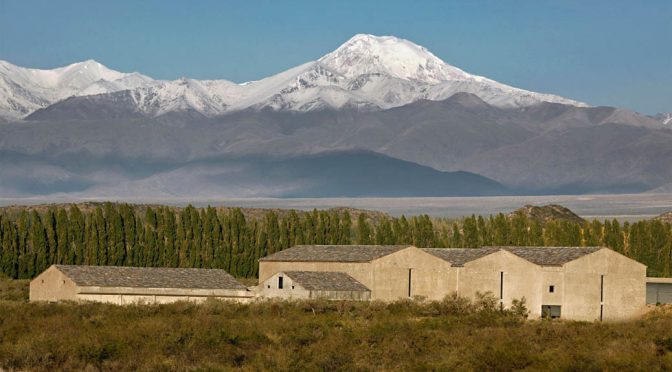 2010 Bodegas Atamisque, Catalpa Pinot Noir Single Vineyard, Mendoza, Argentina