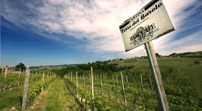 2014 Terre Del Barolo, Langhe Nebbiolo, Piemonte, Italien