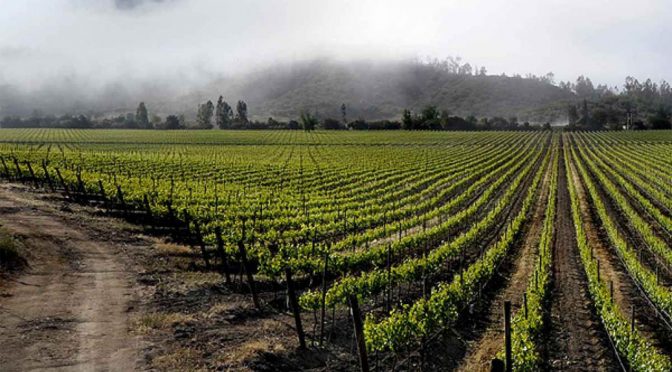 2013 Bodega Noemia de Patagonia, J. Alberto, Patagonien, Argentina