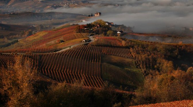 2013 Terre del Barolo, ArnaldoRivera Barolo Vignarionda, Piemonte, Italien