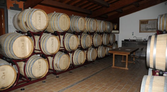 Fattoria ColSanto barriques