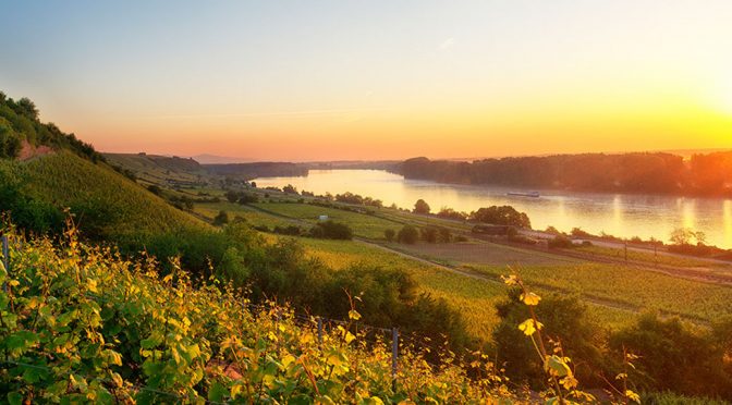 2016 Weingut Georg Gustav Huff, Riesling Roter Hang Trocken, Rheinhessen, Tyskland