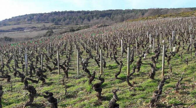 2015 David Moreau, Santenay Cuvée S, Bourgogne, Frankrig