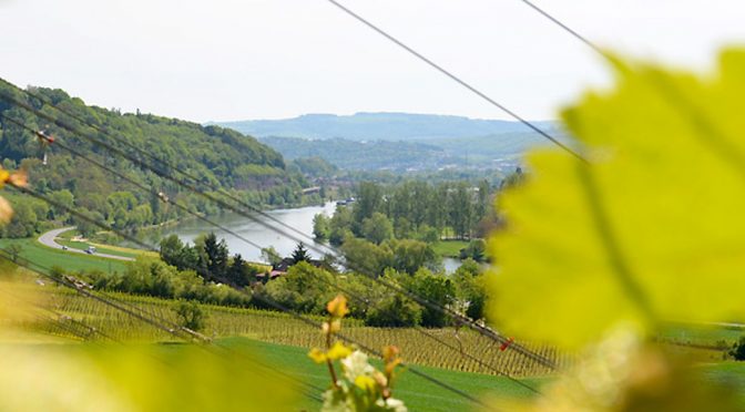 2015 Weingut Rinke, Langsurer Brüderberg Pinot Noir, Mosel, Tyskland