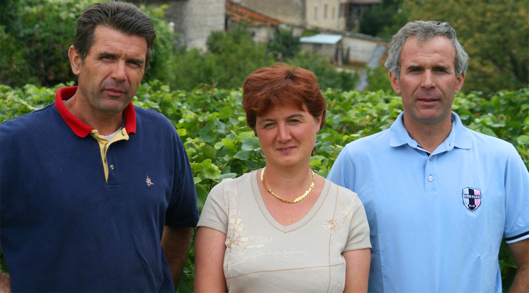 Daniel Rion 2013 Domaine Daniel Rion & Fils, Vosne-Romanée 1er Cru Le Beaux-Monts ...