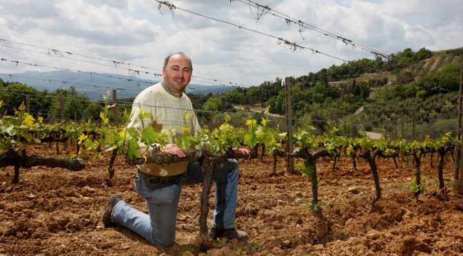 2015 Voliero, Rosso di Montalcino, Toscana, Italien