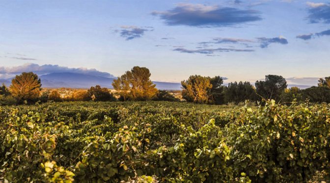 2015 Domaine le Clos du Caillou, Le Bouquet des Garrigues Côtes-du-Rhône, Rhône, Frankrig