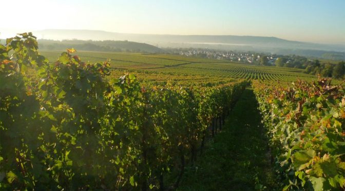 2015 Weingut Sohns, Geisenheimer Mönchspfad Spätburgunder Trocken, Rheingau, Tyskland