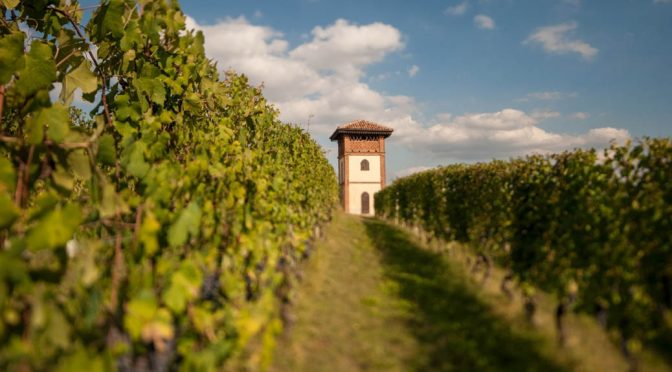 2003 Figli Luigi Oddero, Barolo Vigna Rionda, Piemonte, Italien