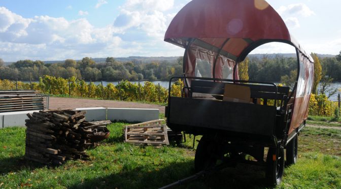 2016 Weingut Schloss Schönborn, Rüdesheimer Riesling, Rheingau, Tyskland