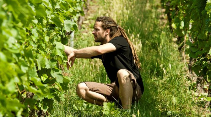 2014 Weingut Dautel, Cleebronner Spätburgunder Schilfsandstein Trocken, Württemberg, Tyskland