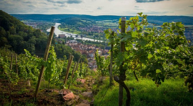 2015 Weingut Rudolf Fürst, Burgstadter Berg Frühburgunder, Franken, Tyskland