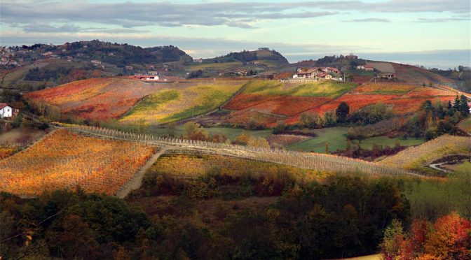 2013 Pecchenino, Langhe Pinot Nero, Piemonte, Italien