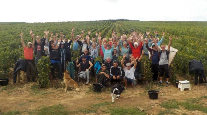 2015 Albert Sounit, Mercurey 1. Cru Clos de Montaigus, Bourgogne, Frankrig