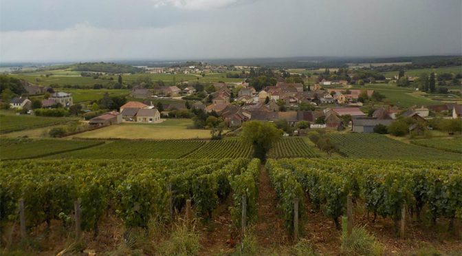 2015 Albert Sounit, Montagny 1. Cru Vieilles Vignes, Bourgogne, Frankrig