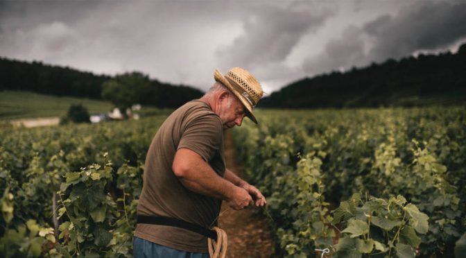 2015 Méo-Camuzet, Fixin, Bourgogne, Frankrig