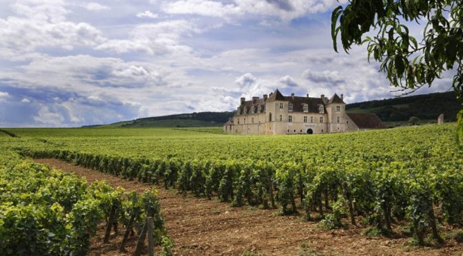 2014 Domaine Daniel Rion & Fils, Clos Vougeot Grand Cru Le Petit Mauperthuis, Bourgogne, Frankrig