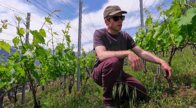 2016 Olivier Pittet, Les Temps Passés, Valais, Schweiz