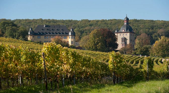 2015 Weingut Schloss Vollrads, Riesling Alte Reben, Rheingau, Tyskland