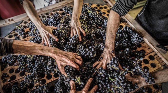 2016 Domaine de Chèrouche, Les Noces de la Madeleine, Valais, Schweiz