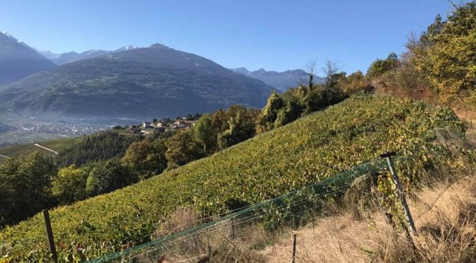 2016 Domaine de Chèrouche, Grand Raye Ultime, Valais, Schweiz