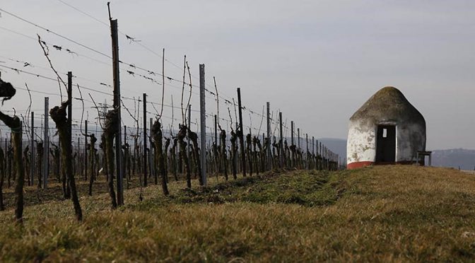 2013 Weingut Wageck Pfaffmann, Spätburgunder Fundament, Pfalz, Tyskland