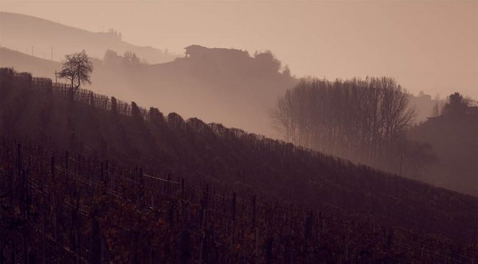 2005 Cascina Ebreo, Torbido, Piemonte, Italien