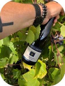 2017 Weingut Burggarten, Spätburgunder Classic, Ahr, Tyskland