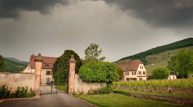 2016 Domaine Weinbach, Riesling Schlossberg Grand Cru Cuvée Ste Catherine, Alsace, Frankrig