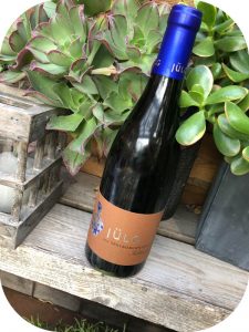 2016 Weingut Jülg, Spätburgunder Kalkmergel, Pfalz, Tyskland