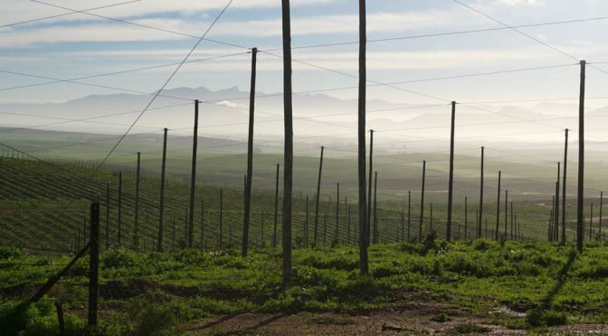 2010 Boekenhoutskloof, Porseleinberg, Western Cape, Sydafrika