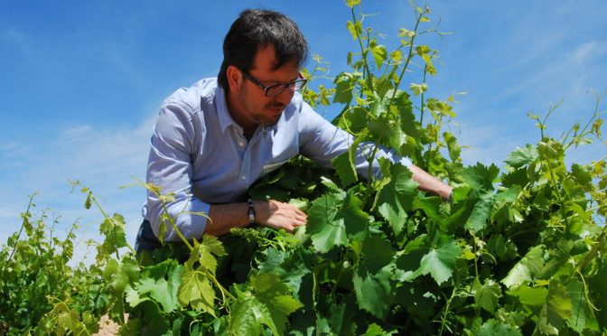 2016 Rodríguez Sanzo, Nassos, Priorat, Spanien