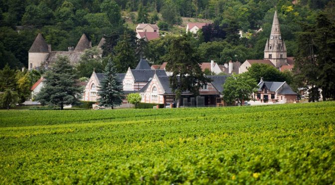 2015 Domaine du Bois Noël, Savigny-Les-Beaune 1. Cru Les Serpentières, Bourgogne, Frankrig