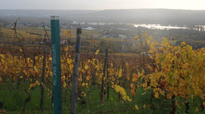 2016 Weingut Georg Breuer, Rüdesheimer Berg Schlossberg Riesling, Rheingau, Tyskland