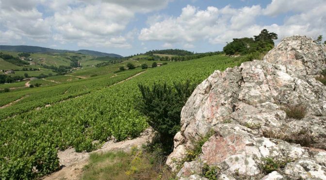 2016 Cave de Fleurie, Fleurie Beaujolais, Bourgogne, Frankrig