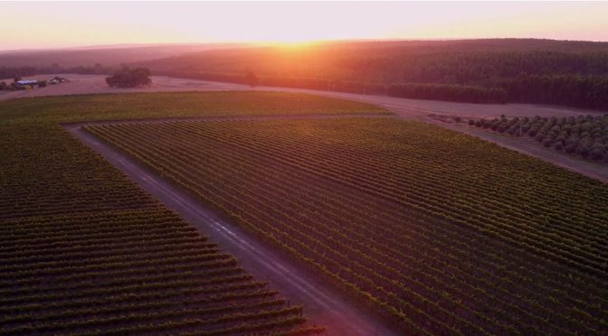 2014 Frankland Estate, Isolation Ridge Vineyard Riesling, Western Australia, Australien