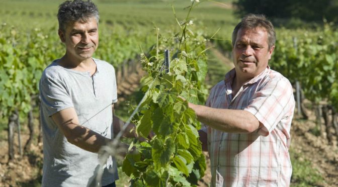 2012 Château du Cèdre, Le Cédre Cahors, Sud-Ouest, Frankrig