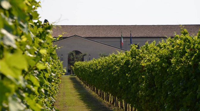 2006 Guerrieri Rizzardi, Amarone della Valpolicella Classico Calcarole, Veneto, Italien