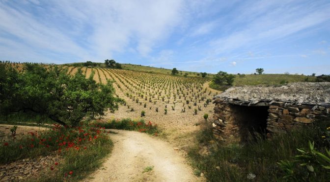 2016 Bodegas Morca, Tourán Garnacha, Aragon, Spanien