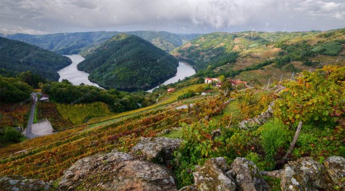 Vinho Verde … mini-test af de grønne vine fra Portugal