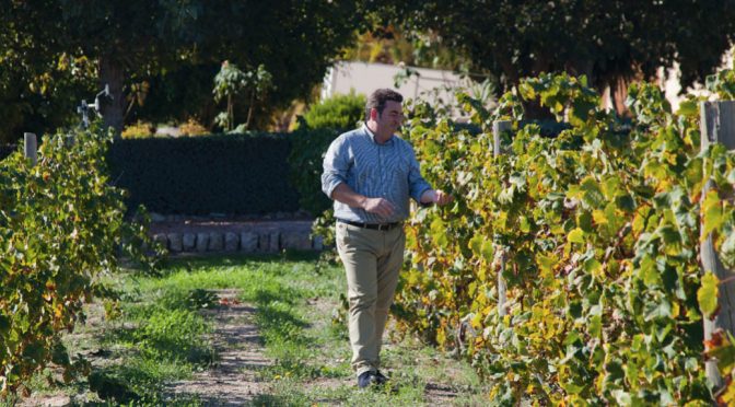 2017 Bodegas Enrique Mendoza, La Tremenda Macabeo & Moscatel, Valencia, Spanien