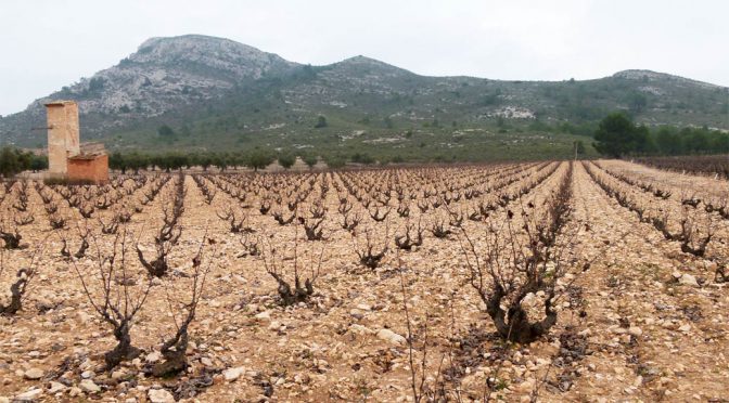 2017 Bodegas Enrique Mendoza, Moscatel de la Marina, Valencia, Spanien