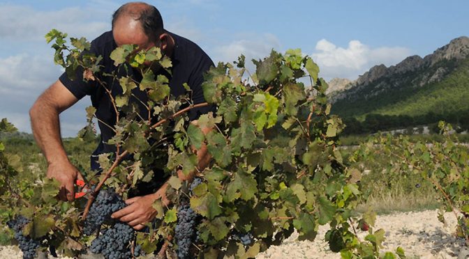 2015 Bodegas Tridente, Tridente Tempranillo, Castilla y León, Spanien