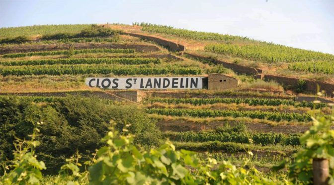 2014 Domaine du Clos Saint Landelin, Riesling Clos Saint Landelin Grand Cru Vorbourg, Alsace, Frankrig