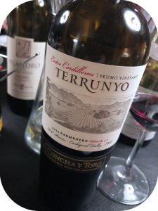 2010 Concha y Toro, Terrunyo Carmenere, Cachapoal, Chile