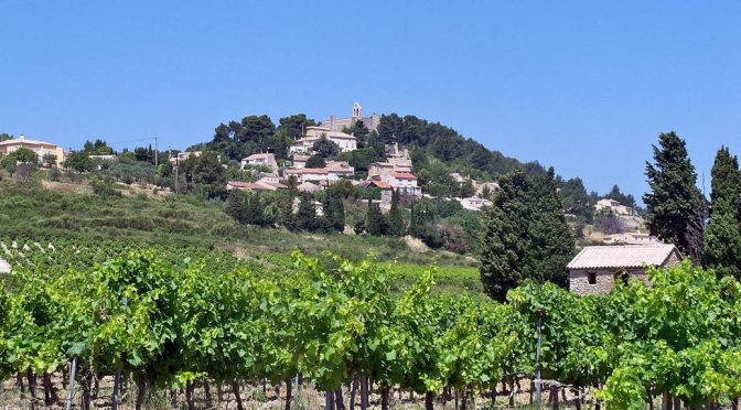 2016 Domaine Didier Charavin, Rasteau les Parpaïouns, Rhône, Frankrig