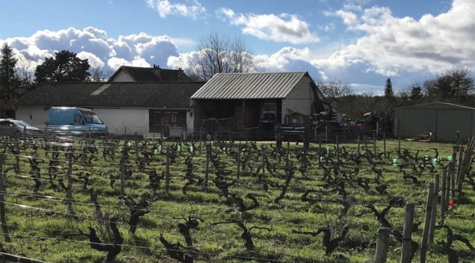 2014 Domaine Vallée Moray, Aubépine Montlouis sur Loire, Loire, Frankrig