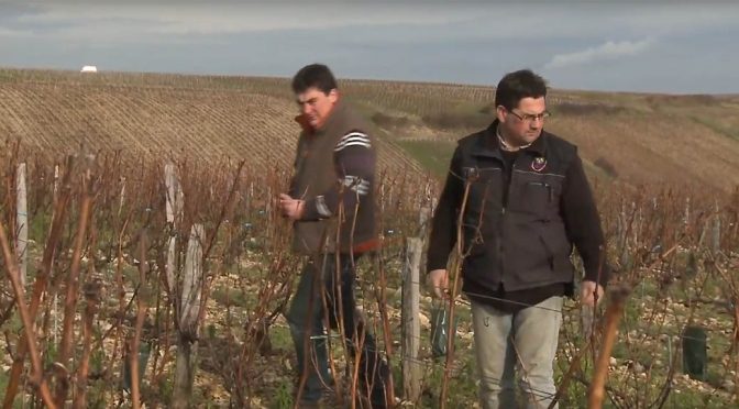 2017 Domaine Mathieu & Benoit Fleuriet, Sancerre Les Demoiselles, Loire, Frankrig