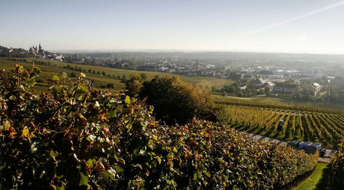 2009 Weingut Kühling-Gillot, Oppenheimer Kreuz Spätburgunder GG Trocken, Rheinhessen, Tyskland