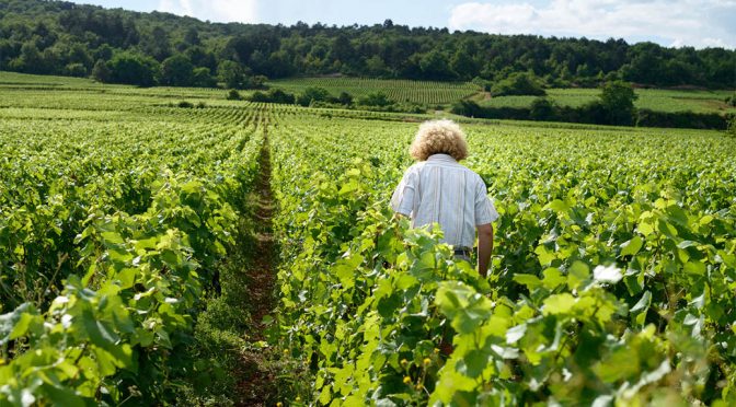 2017 Sylvain Pataille, Marsannay Les Longeroies, Bourgogne, Frankrig